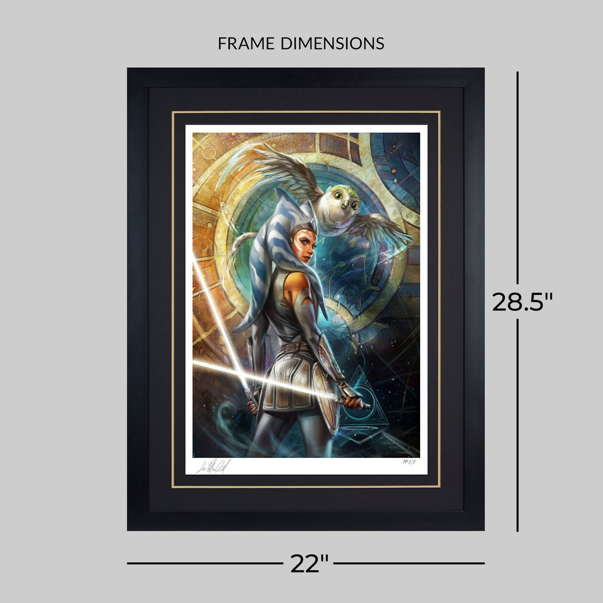 Ahsoka Tano and Morai: Old Friends Star Wars Art Print