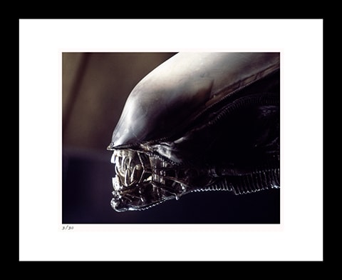 Alien Art Print