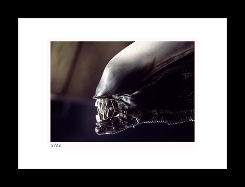 Alien Art Print