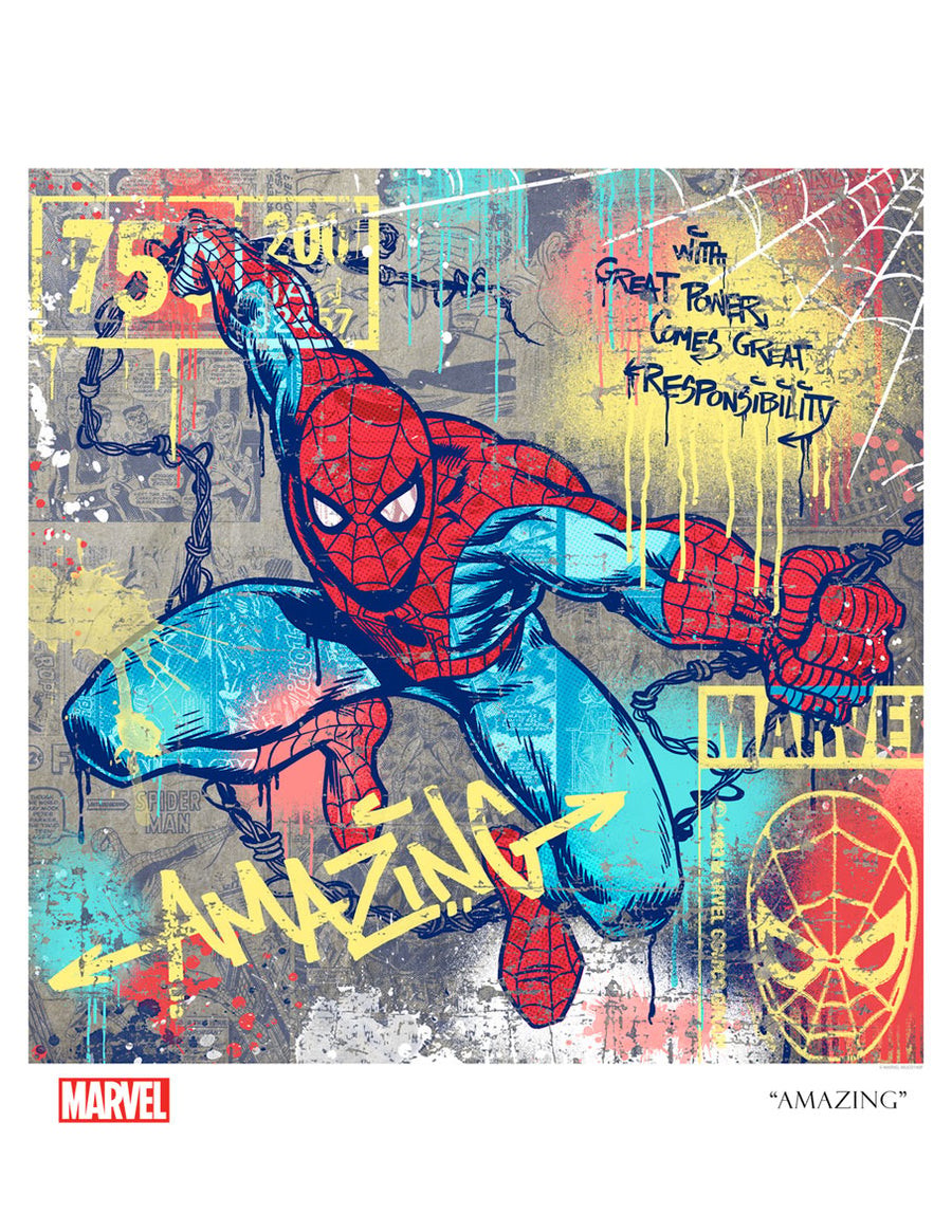 Amazing Marvel Spider-Man Art Print