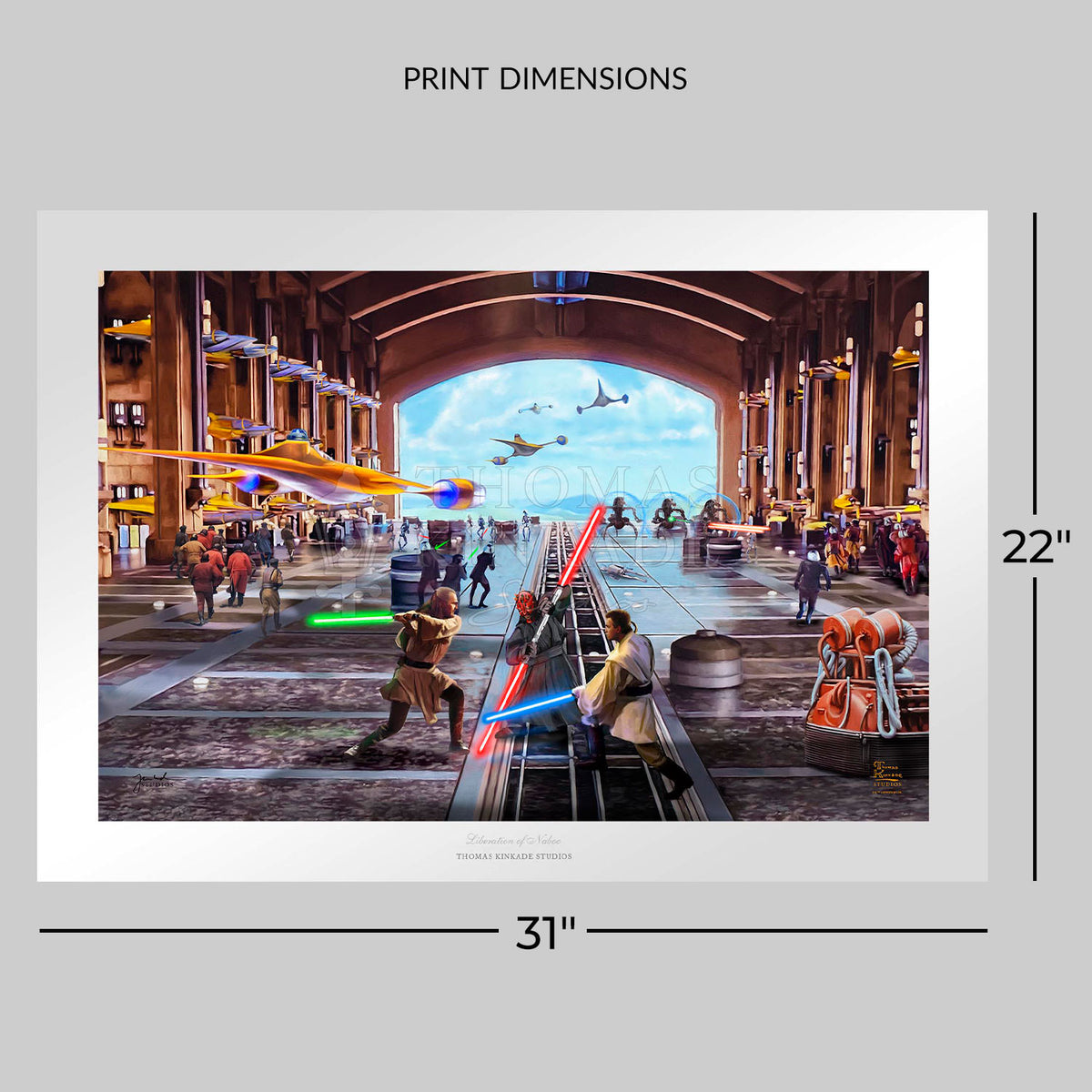 Liberation of Naboo Star Wars Art Print