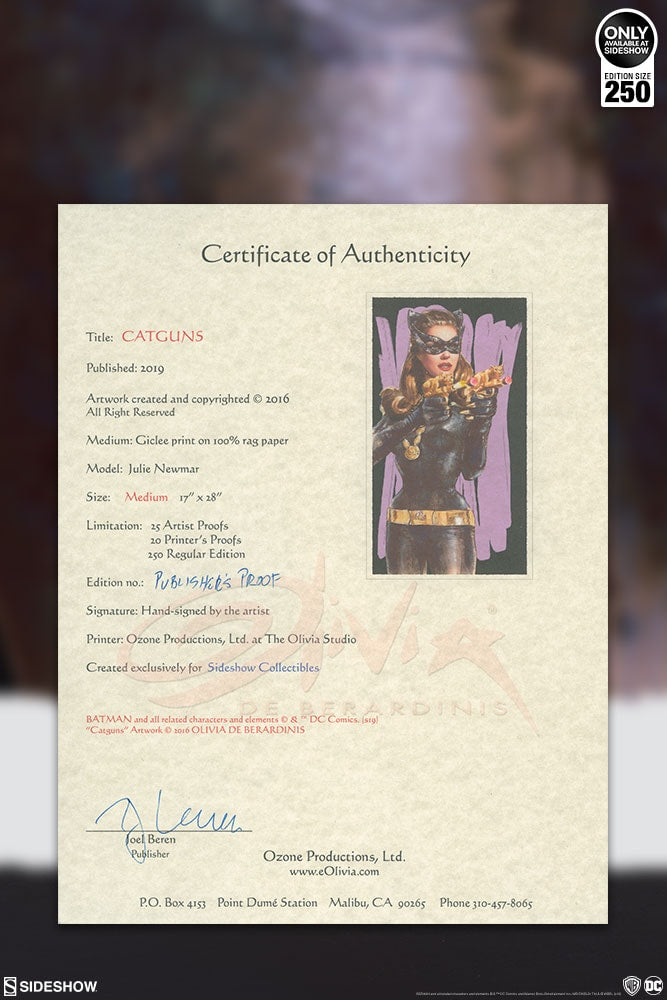 Catguns DC Catwoman Art Print