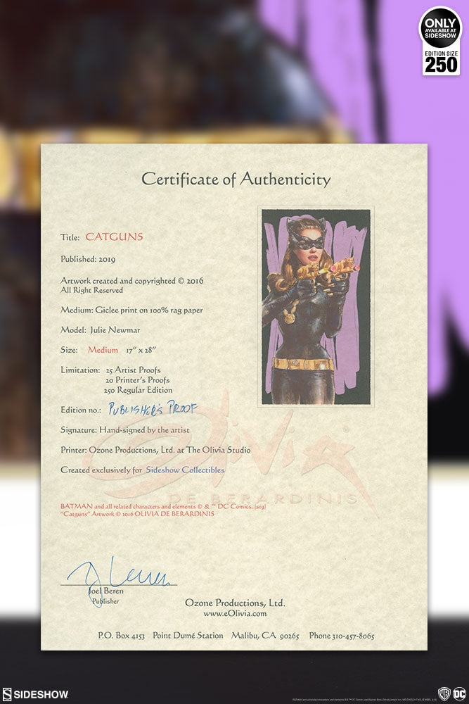 Catguns DC Catwoman Art Print
