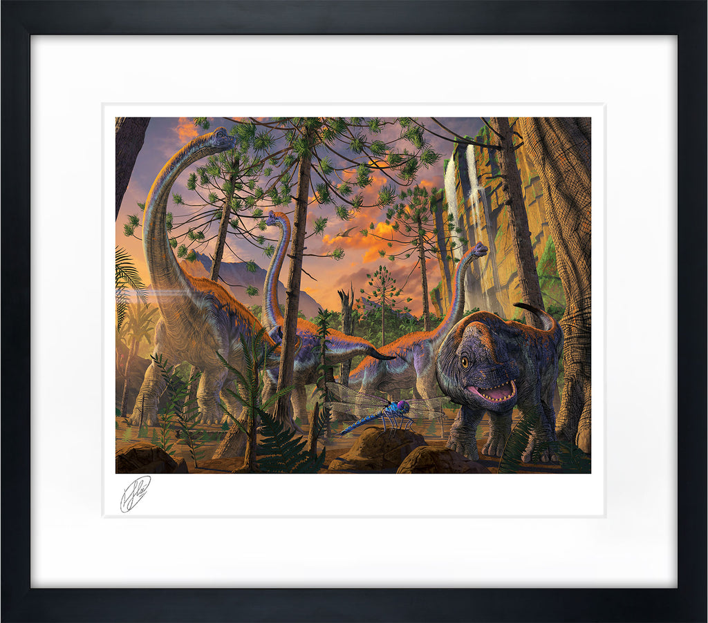 Curious Art Print