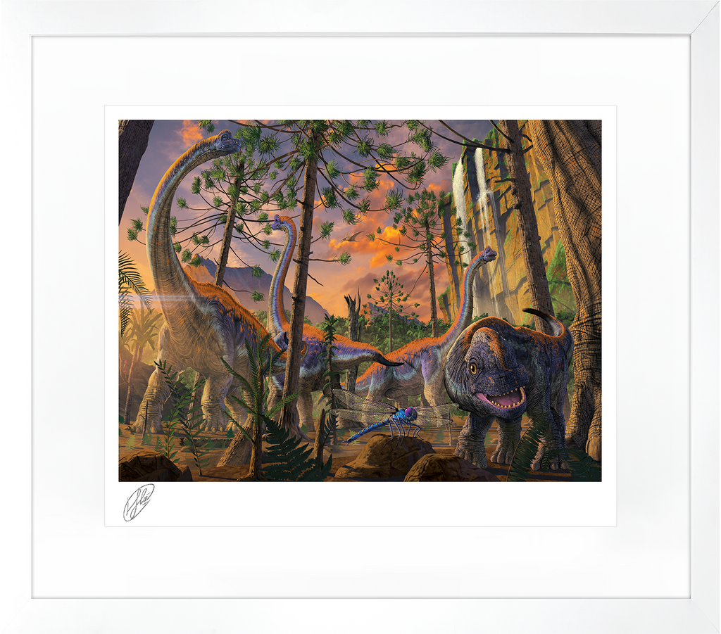 Curious Art Print