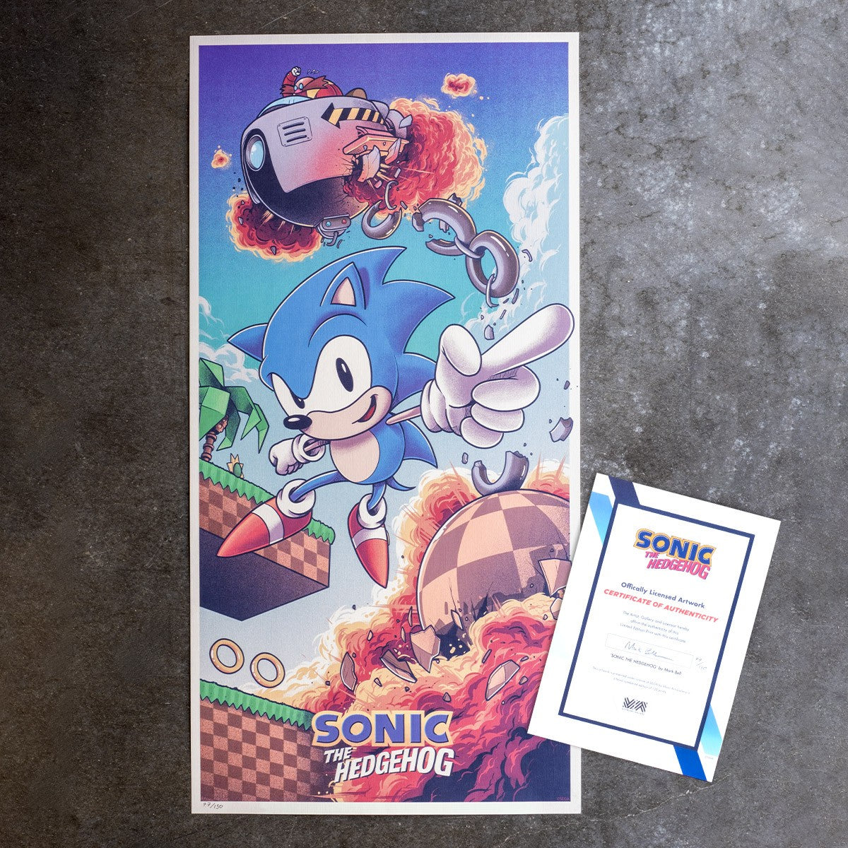 Sonic the Hedgehog Art Print