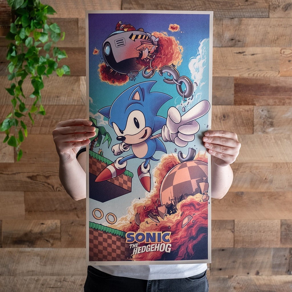 Sonic the Hedgehog Art Print