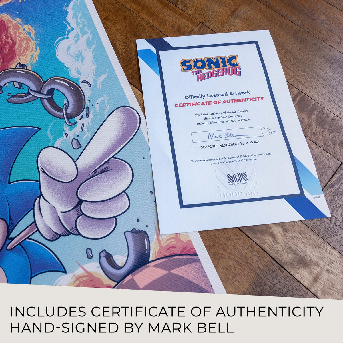 Sonic the Hedgehog Art Print