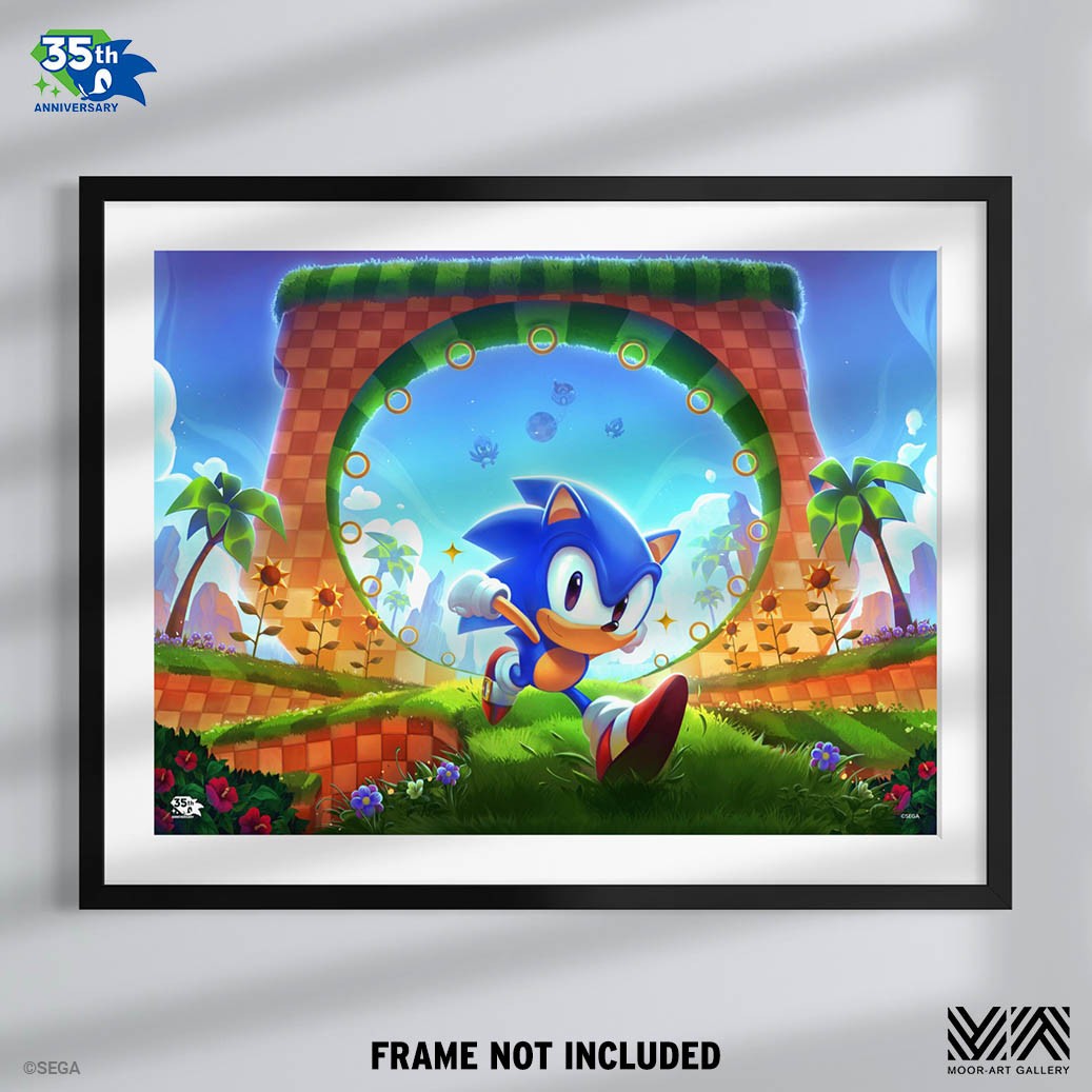 Sonic the Hedgehog: First Loop-de-Loop Art Print