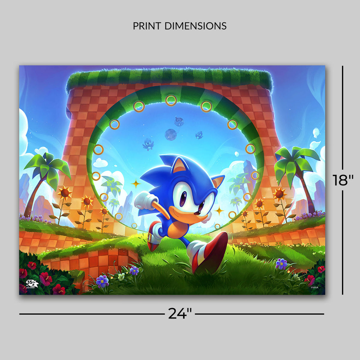 Sonic the Hedgehog: First Loop-de-Loop Art Print