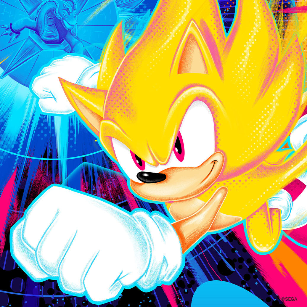 Sonic the Hedgehog: Live and Learn Sonic Shadow Art Print